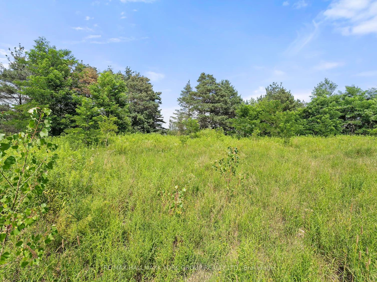 3799 Rundle Road, Clarington, ON, L1C 3K4 - 10