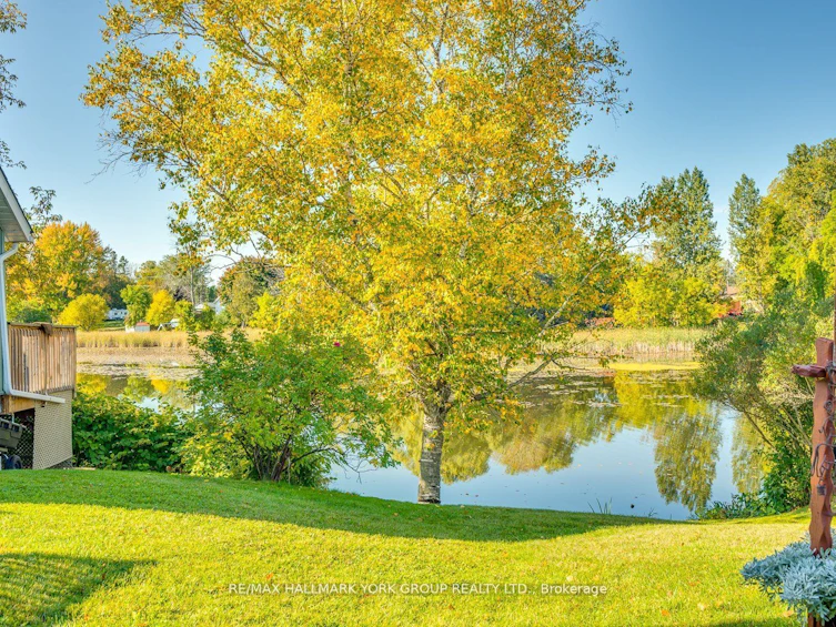 118 High Street, Georgina, ON, L0E 1R0 - 7
