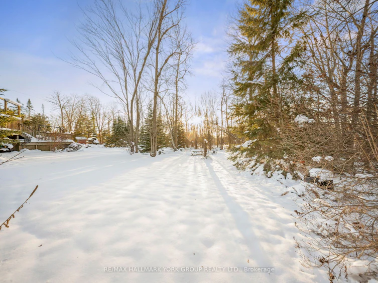 96 Riverview Beach Road, Georgina, ON, L0E 1N0 - 31