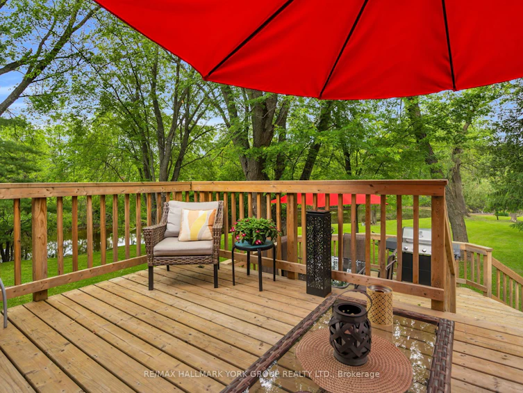 16 James Street, Georgina, ON, L0E 1N0 - 37