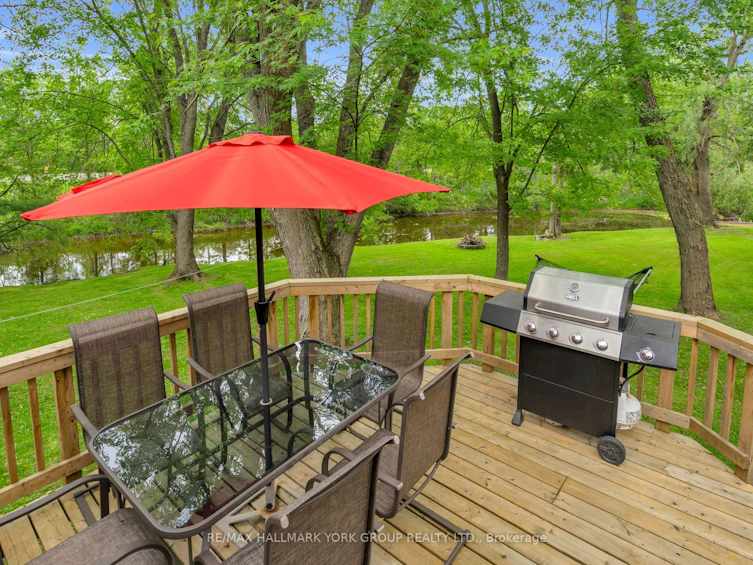16 James Street, Georgina, ON, L0E 1N0 - 38
