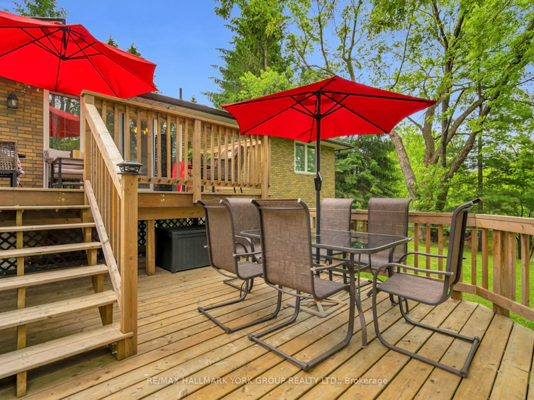 16 James Street, Georgina, ON, L0E 1N0 - 39
