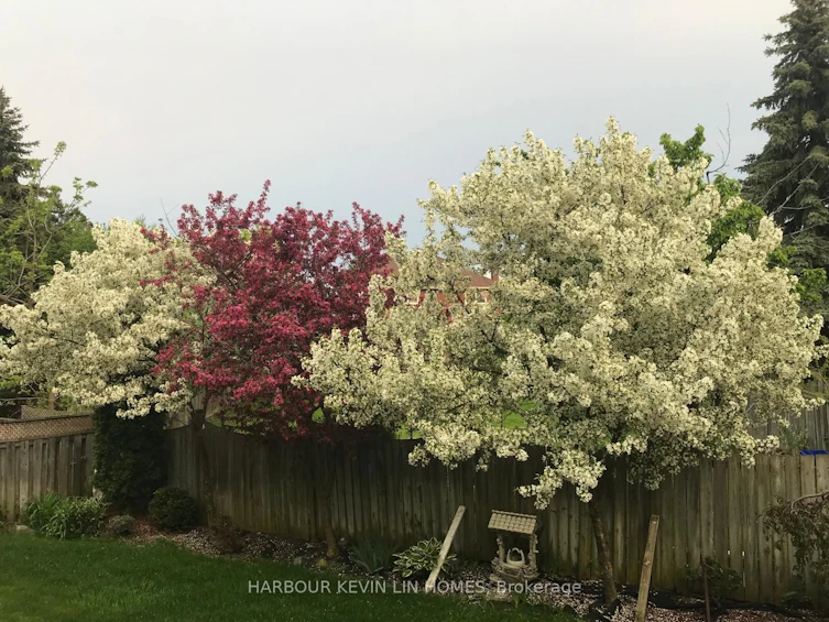 85 Lagani Avenue, Richmond Hill, ON, L4B 4M9 - 47