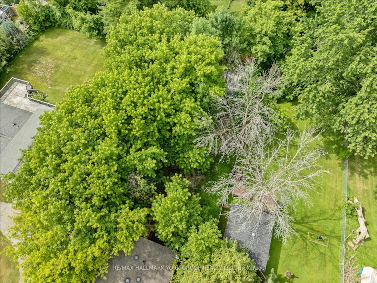 162 Bayview Avenue, Georgina, ON, L4P 2S9 - 30