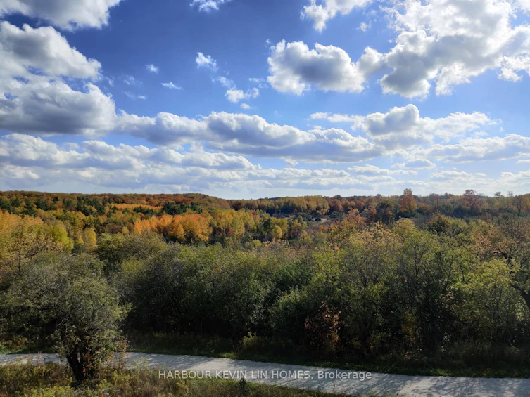 109 Anchusa Drive, Richmond Hill, ON, L4E 1C5 - 44