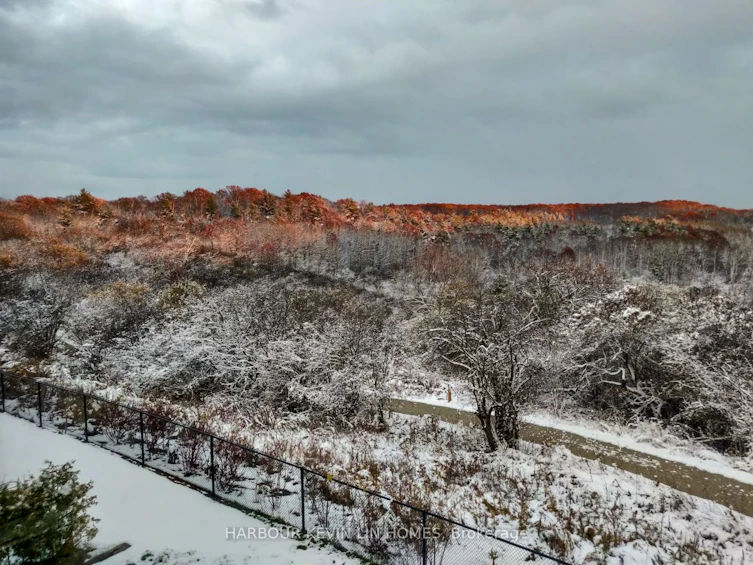 109 Anchusa Drive, Richmond Hill, ON, L4E 1C5 - 41