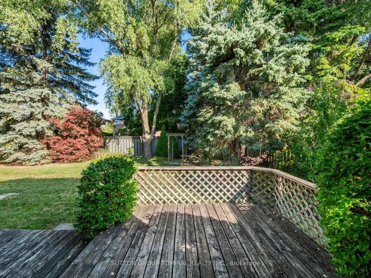 14 Harmony Hill Crescent, Richmond Hill, ON, L4C 8Z1 - 22