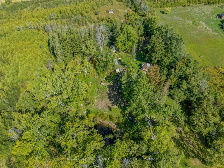 12 Cedarbrook Drive, Georgina, ON, L0E 1N0 - 15