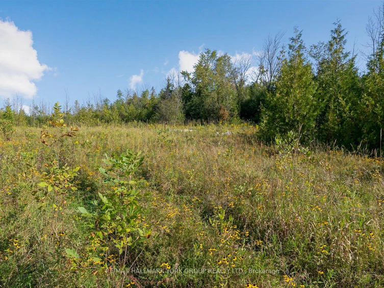 12 Cedarbrook Drive, Georgina, ON, L0E 1N0 - 16