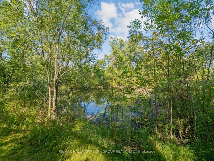 12 Cedarbrook Drive, Georgina, ON, L0E 1N0 - 23