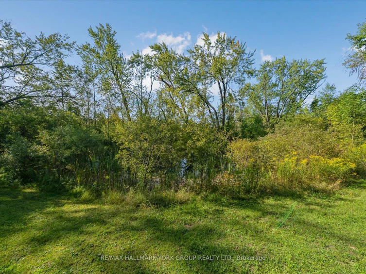 12 Cedarbrook Drive, Georgina, ON, L0E 1N0 - 22