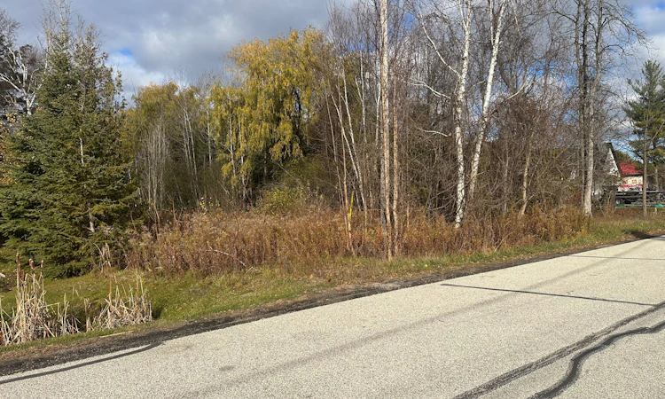 Lot 168 Dorothy Avenue