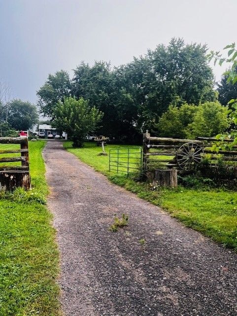 6429 3rd Line, New Tecumseth, ON, L0G 1W0