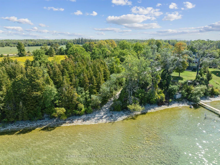 67 Thorah Concession 1 Road, Brock, ON, L0K 1A0 - 47