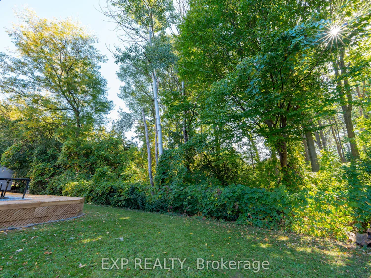 25 Pearl Gate Court, Richmond Hill, ON, L4B 2R2 - 41