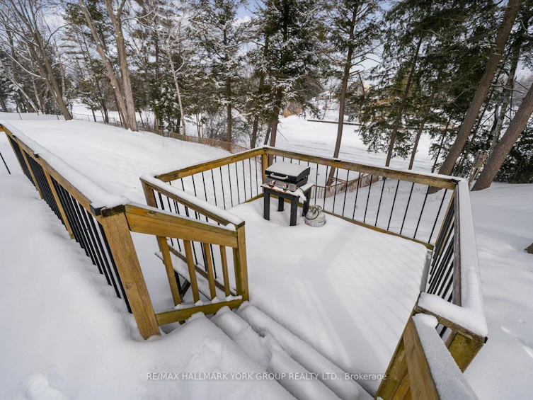 57 Halmar Park Road, Georgina, ON, L0E 1N0 - 32