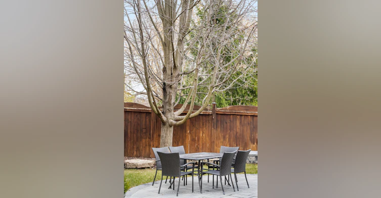 31 Marinucci Court, Richmond Hill, ON, L4C 0M5 - 48