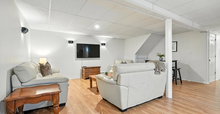 Basement-41 Market Street, Adjala-Tosorontio, ON, L0M 1M0 - 3
