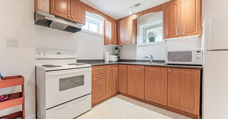 Bsmt-65 Falling River Drive, Richmond Hill, ON, L4S 2R3 - 9