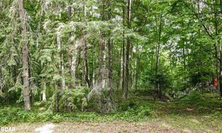 7 Fern Lane