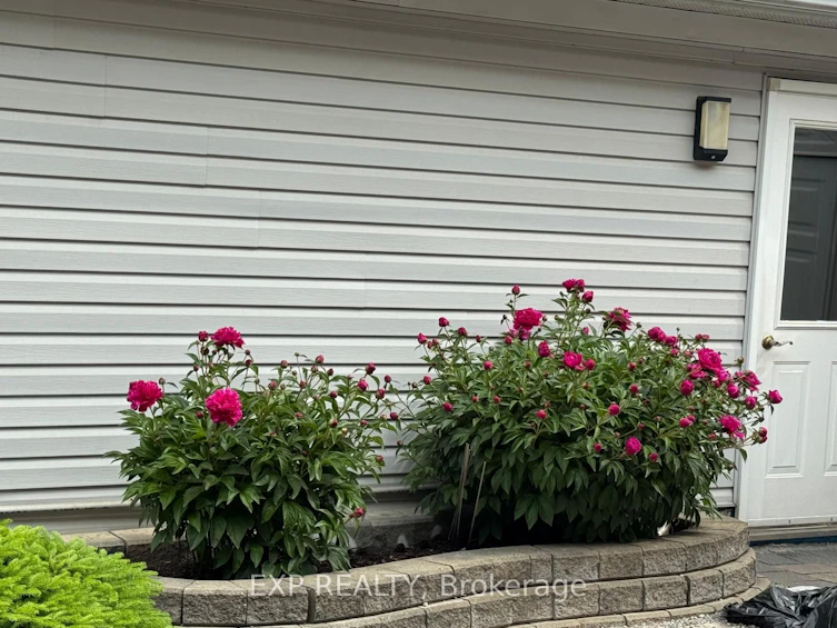 86 Bassett Avenue, Richmond Hill, ON, L4B 4G1 - 45
