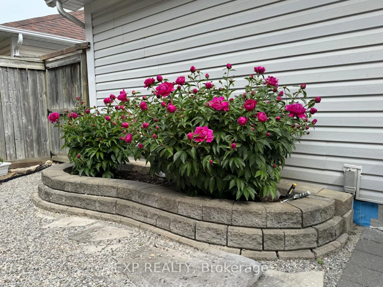 86 Bassett Avenue, Richmond Hill, ON, L4B 4G1 - 43