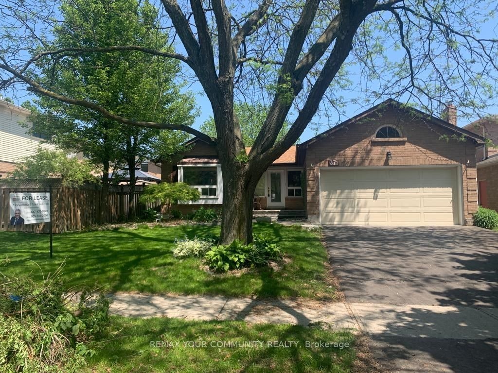 Basement-371 Selby Crescent, Newmarket, ON, L3Y 6E2