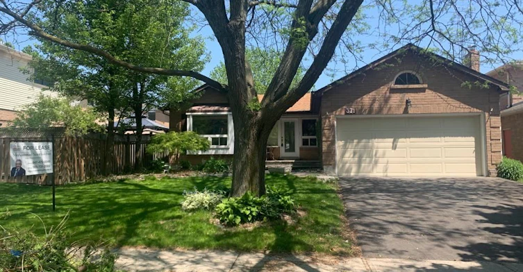 Basement-371 Selby Crescent, Newmarket, ON, L3Y 6E2