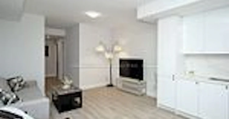 FURNISHED BASEMENT-46 Seguin Street, Richmond Hill, ON, L4E 1H9 - 4