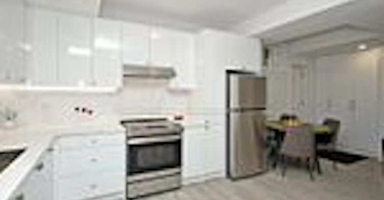 FURNISHED BASEMENT-46 Seguin Street, Richmond Hill, ON, L4E 1H9 - 6
