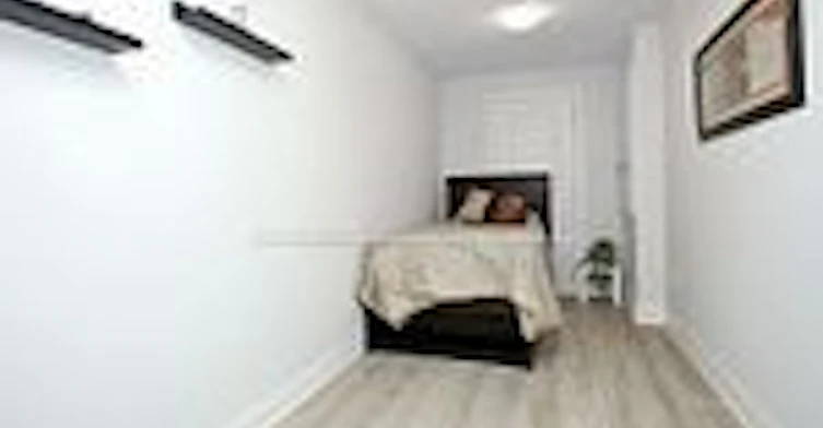 FURNISHED BASEMENT-46 Seguin Street, Richmond Hill, ON, L4E 1H9 - 8