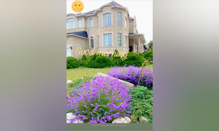 78 Pieta Place