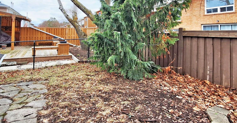 99 Widdifield Avenue, Newmarket, ON, L3X 1Z3 - 10