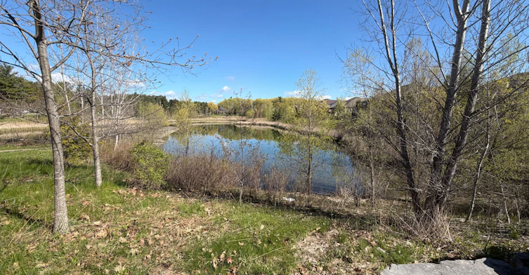 655 Davos Road, Vaughan, ON, L4H 0Y3 - 43