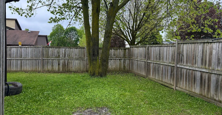 Lower-183 Collings Avenue, Bradford West Gwillimbury, ON, L3Z 1W2 - 8