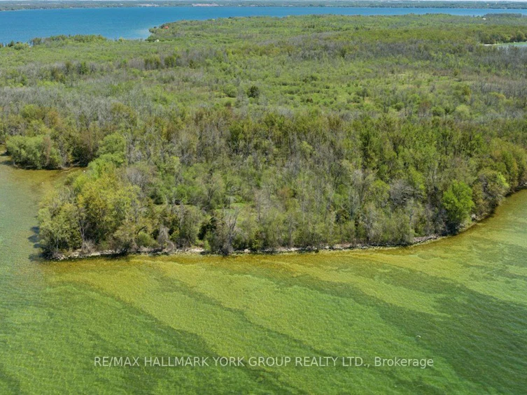 B40178 Shore Road, Brock, ON, L0K 1A0 - 5