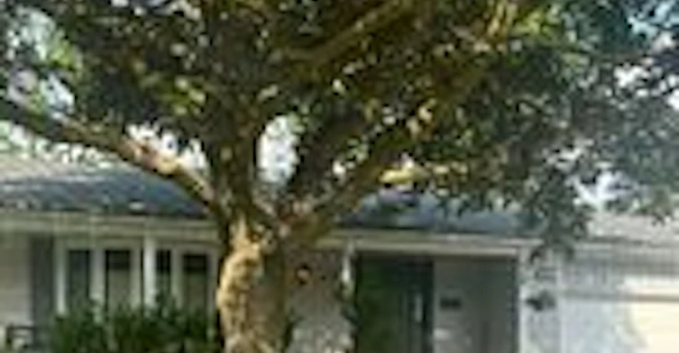 Basement-71 Nisbet Drive, Aurora, ON, L4G 2K6