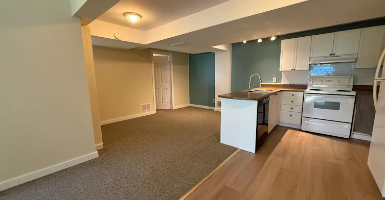 Bsmt-927 Srigley Street, Newmarket, ON, L3Y 1Y2 - 3
