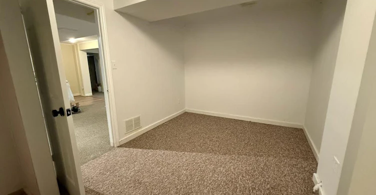 Bsmt-927 Srigley Street, Newmarket, ON, L3Y 1Y2 - 4