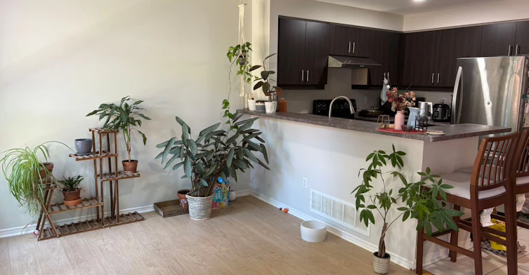 453 Heddle Crescent, Newmarket, ON, L3X 2J4 - 10
