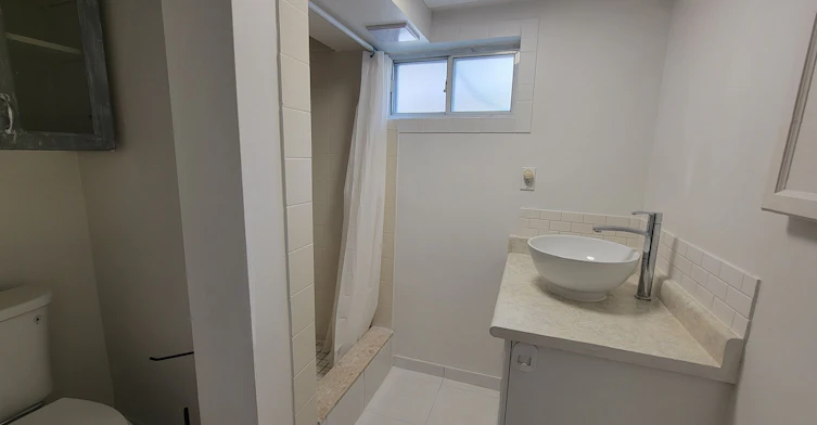 Basement-339 Taylor Mills Drive N, Richmond Hill, ON, L4C 2T8 - 8