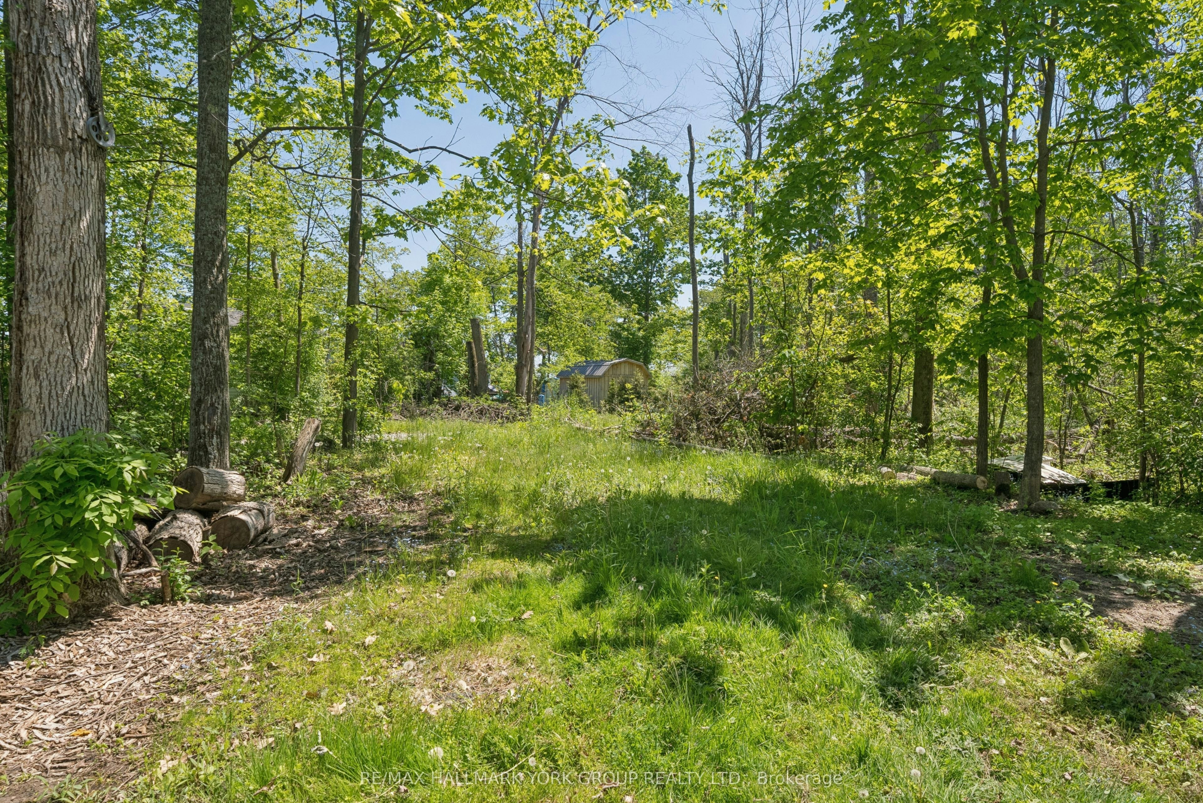 10 Snake Island Road, Georgina Islands, ON, L4P 3E9 - 38