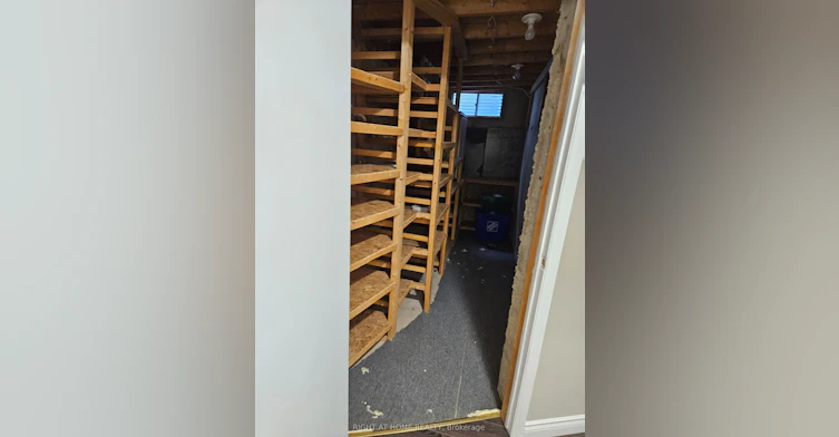 Basement-56 Mccallum Drive, Richmond Hill, ON, L4C 7S8 - 19