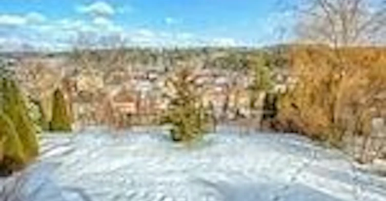 82 Brookeview Drive, Aurora, ON, L4G 6R6 - 38