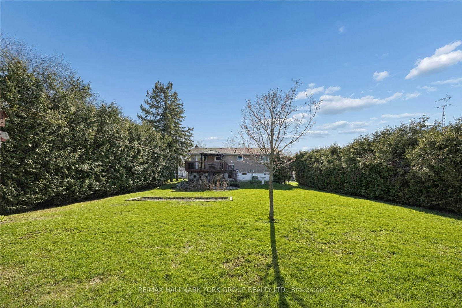 61 Adelaide Street, Brock, ON, L0E 1E0 - 35