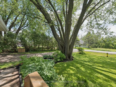47 Sunnidale Boulevard - 5