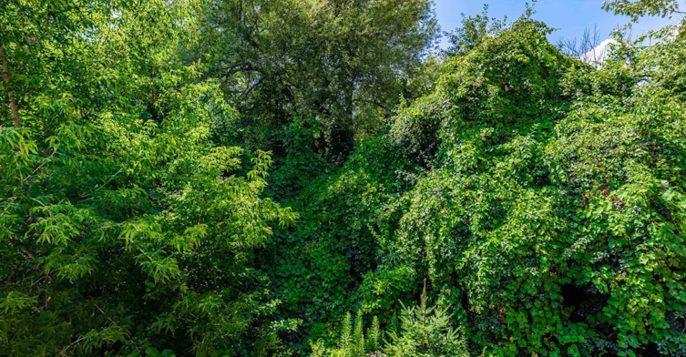 67 Timna Crescent, Vaughan, ON, L6A 4L7 - 34