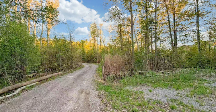 3370 Ravenshoe Road, Georgina, ON, L4P 0K8 - 28