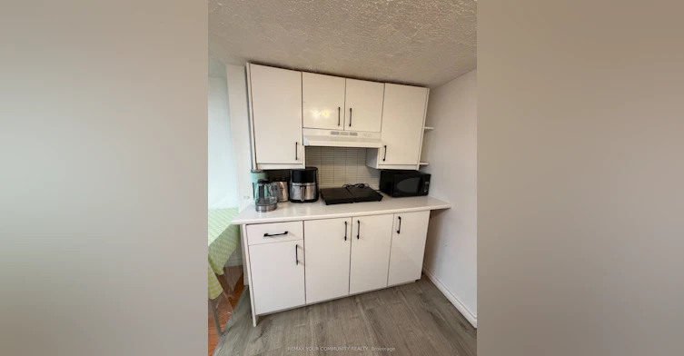 Bsmnt-101 Springhead Gardens, Richmond Hill, ON, L4C 5C3 - 7