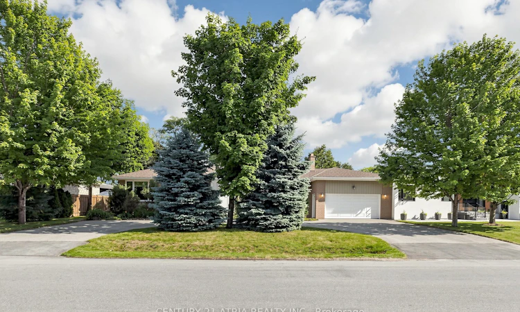 49 Netherford Road